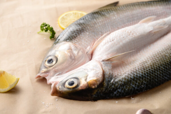 生態養殖x整尾去刺虱目魚